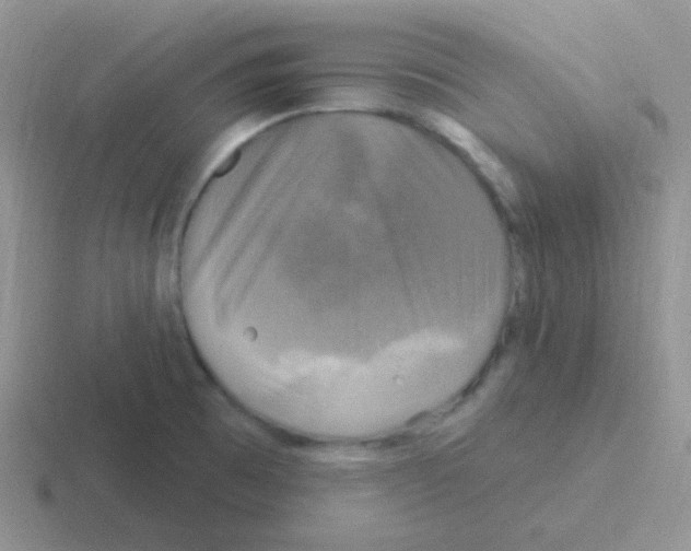 X0000116591473201001071224