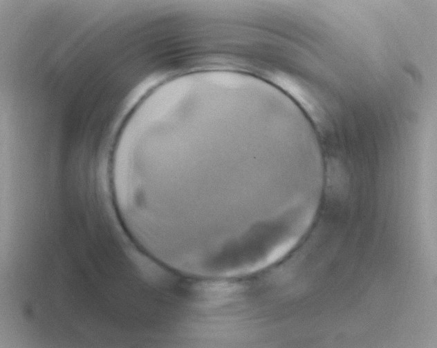 X0000116591474201001071224