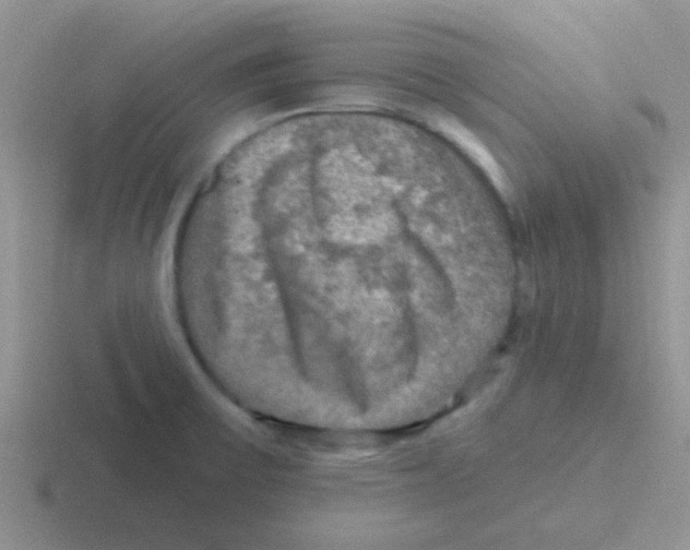 X0000116591475201001071224