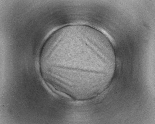 X0000116591476201001071224