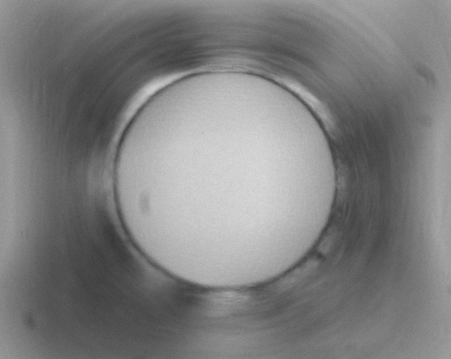 X0000116591478201001071224