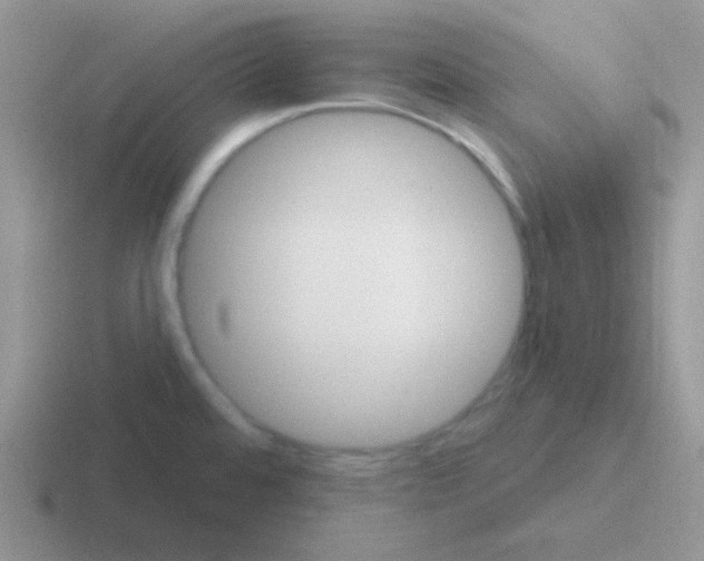 X0000116591480201001071224