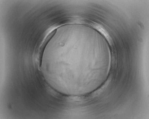 X0000116591481201001071224