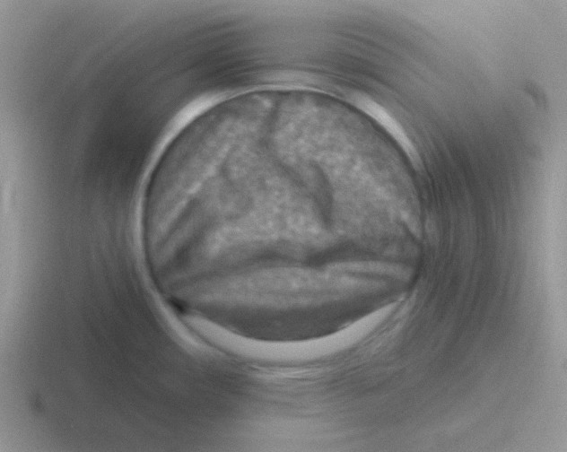 X0000116591482201001071224