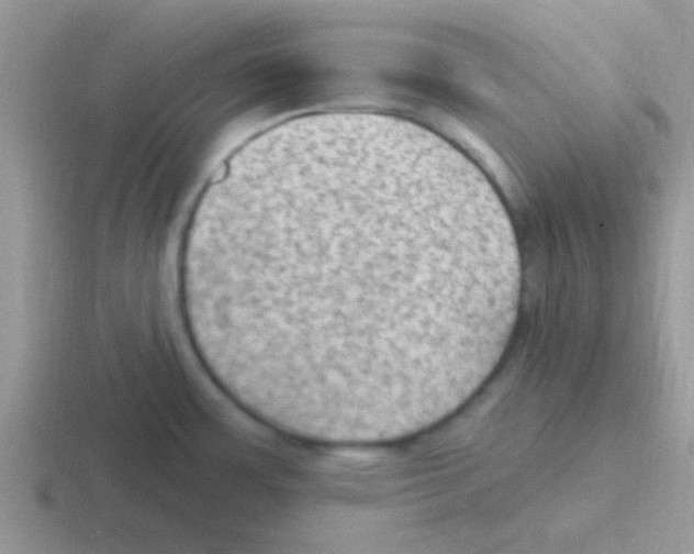 X0000116591483201001071224