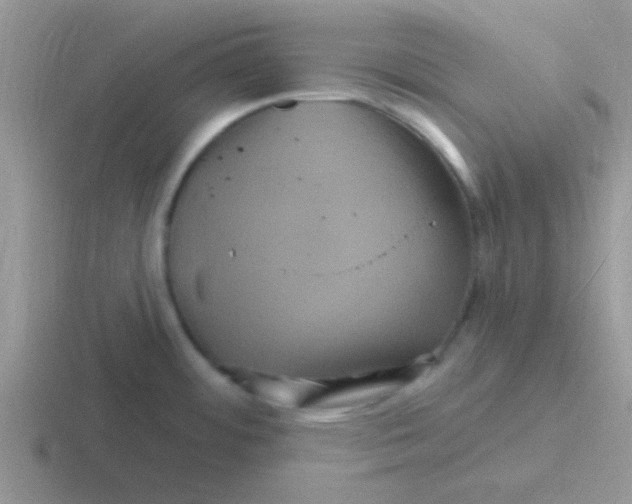 X0000116591484201001071224