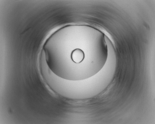 X0000116591485201001071224