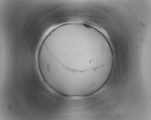 X0000116591488201001071224