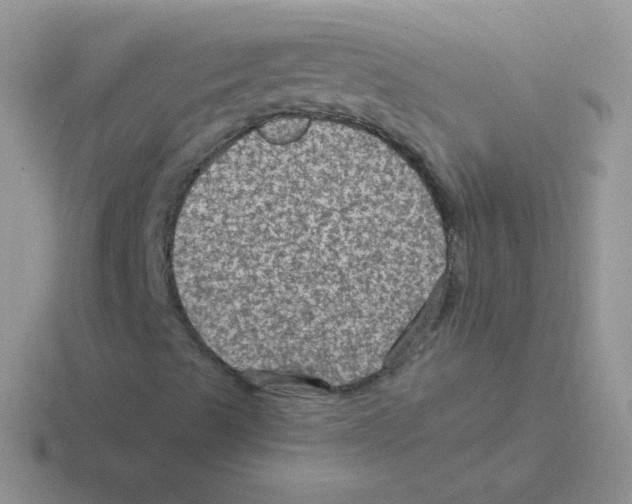 X0000116591489201001071223