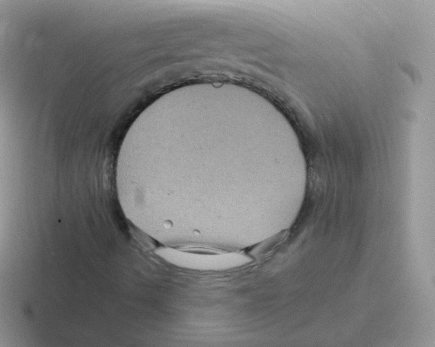 X0000116591490201001071223