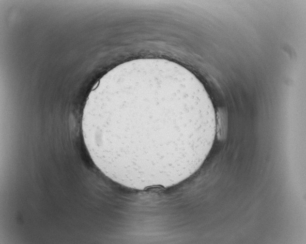 X0000116591491201001071223