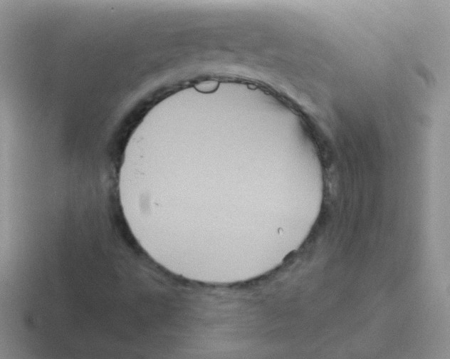 X0000116591495201001071223