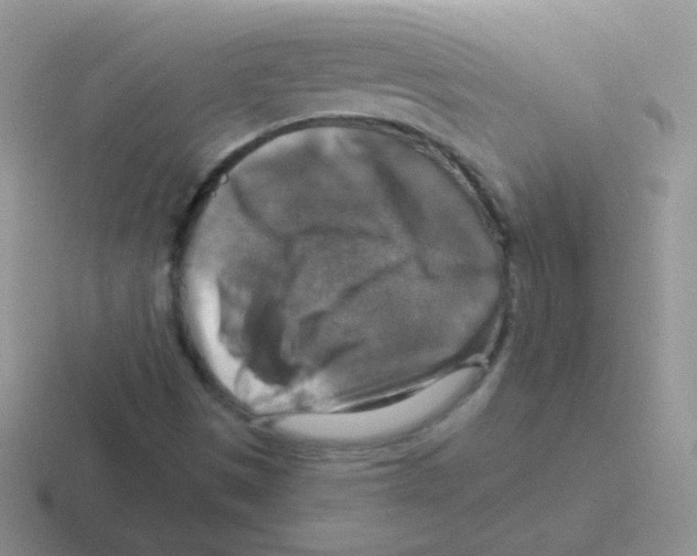 X0000116591497201001071223