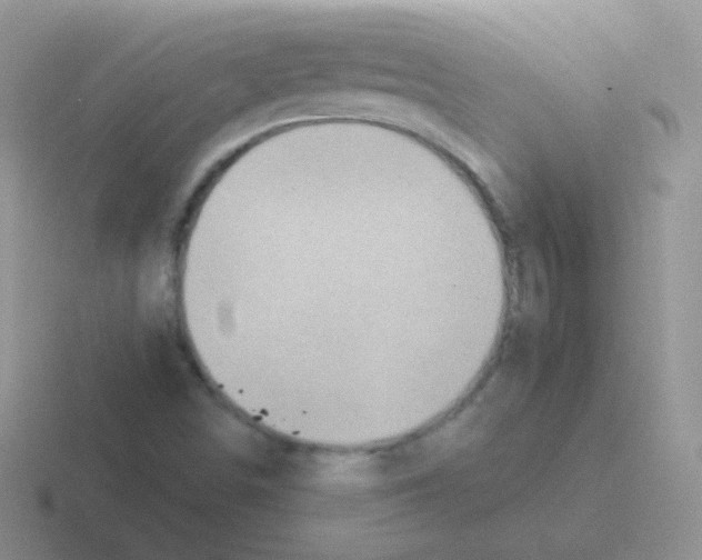 X0000116591498201001071223