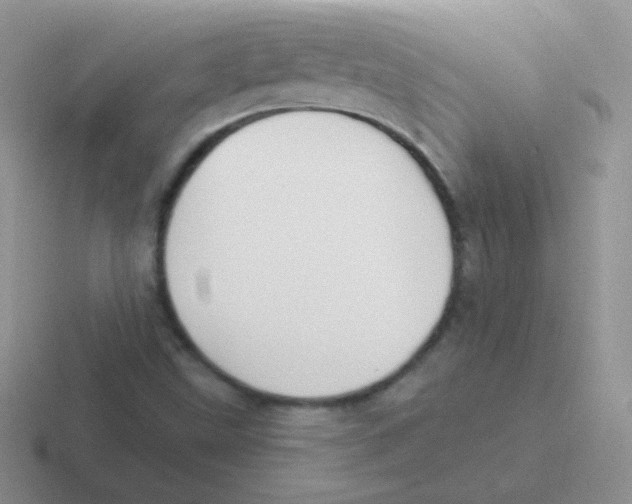 X0000116591499201001071224