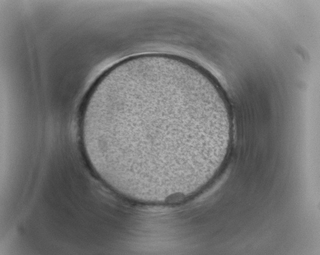 X0000116591501201001071224