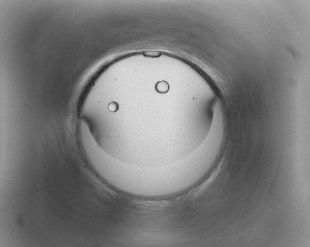 X0000116591502201001071224