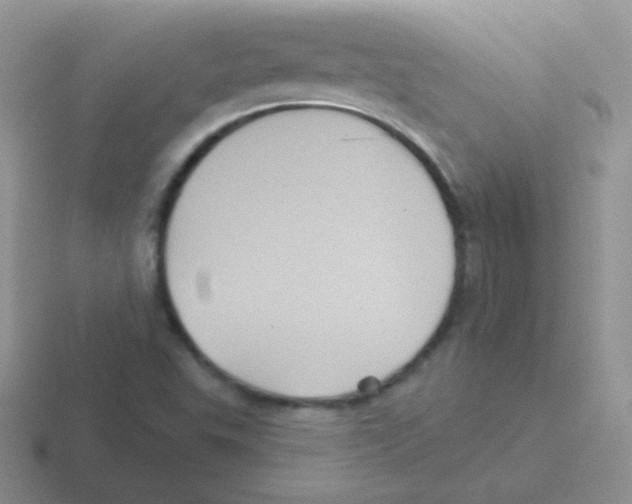 X0000116591503201001071224