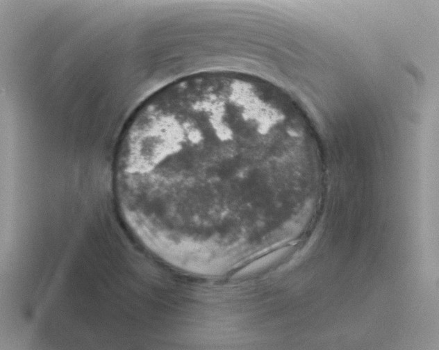 X0000116591505201001071224