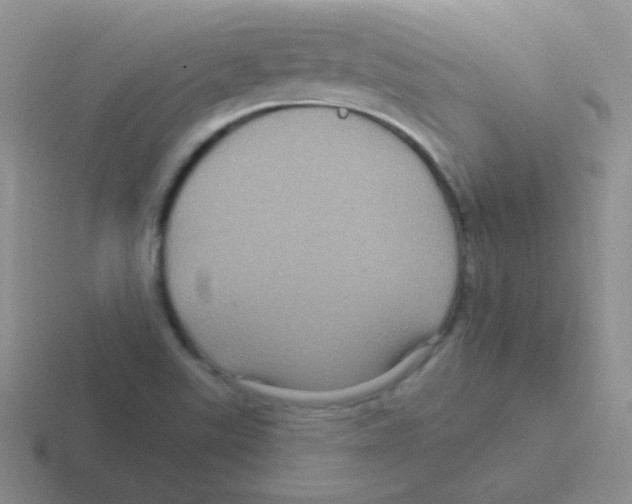 X0000116591507201001071224