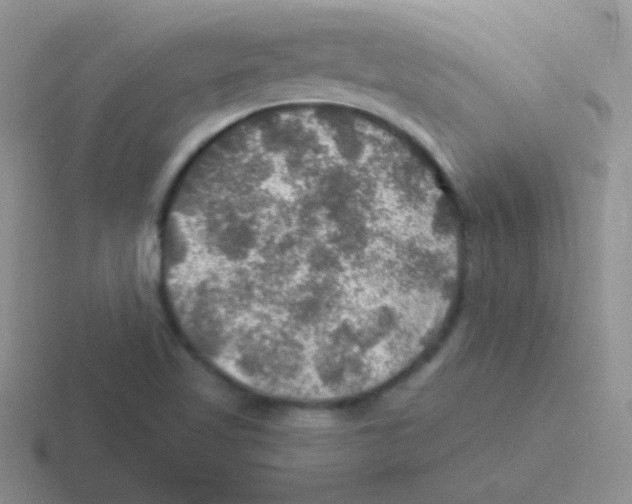 X0000116591509201001071224