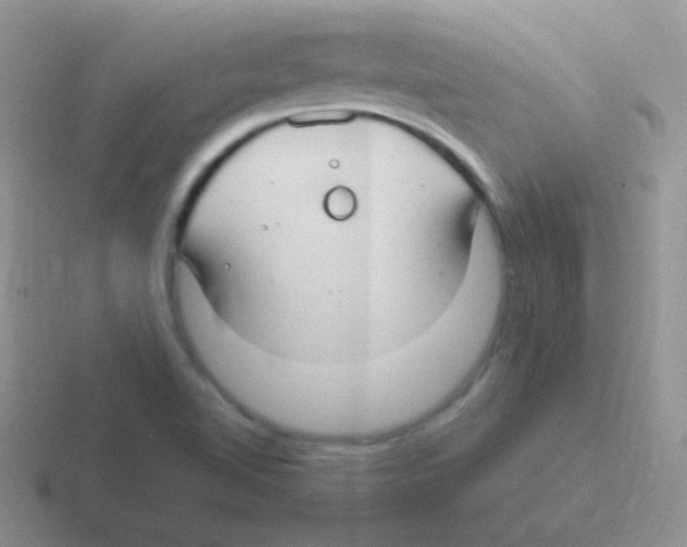 X0000116591510201001071224