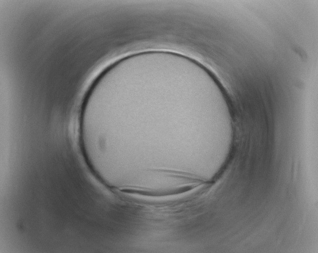 X0000116591511201001071224