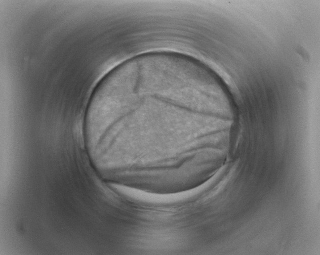 X0000116591513201001071224