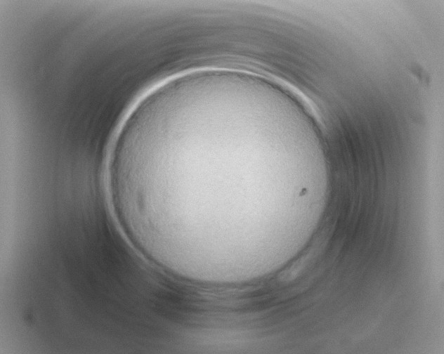 X0000116591514201001071224