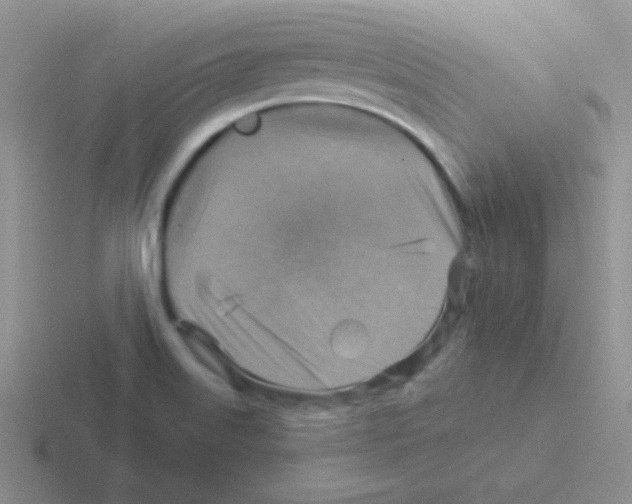 X0000116591515201001071224