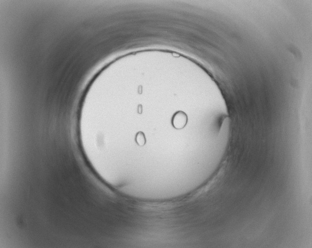 X0000116591518201001071224