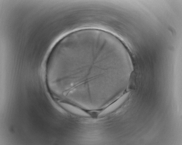 X0000116591519201001071224