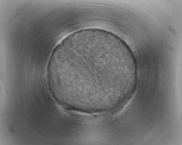 X0000116591521201001071224