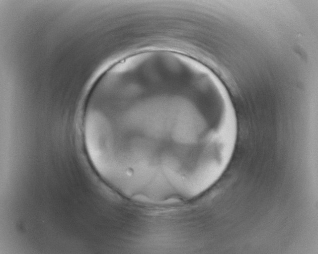 X0000116591522201001071224