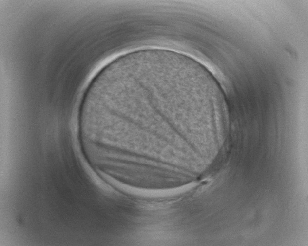 X0000116591523201001071224