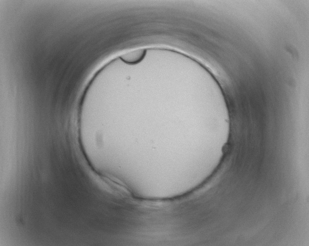 X0000116591526201001071224