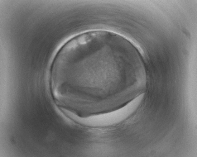 X0000116591527201001071224