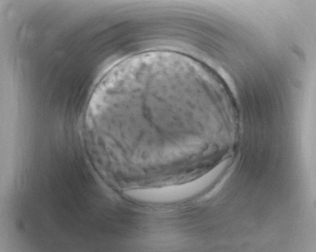 X0000116591529201001071224