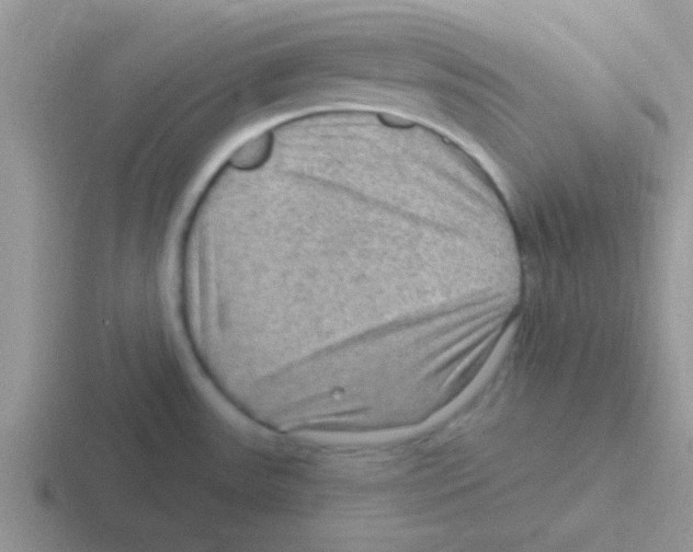 X0000116591531201001071224