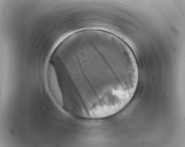 X0000116591533201001071224