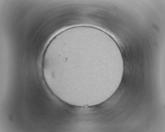 X0000116591534201001071224