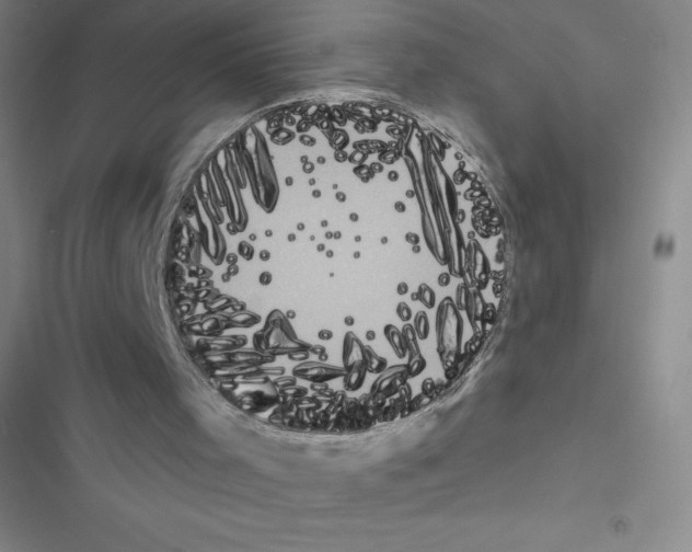 X0000116590001201001211336