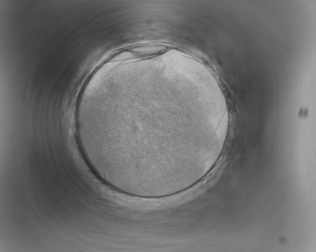 X0000116590002201001211336