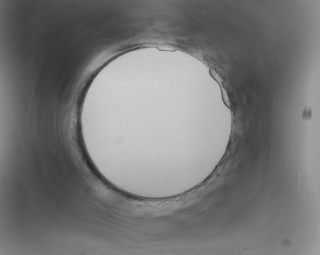 X0000116590005201001211336