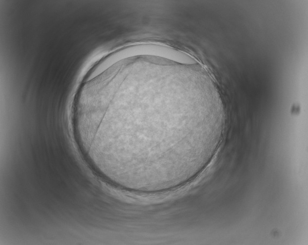 X0000116590006201001211336