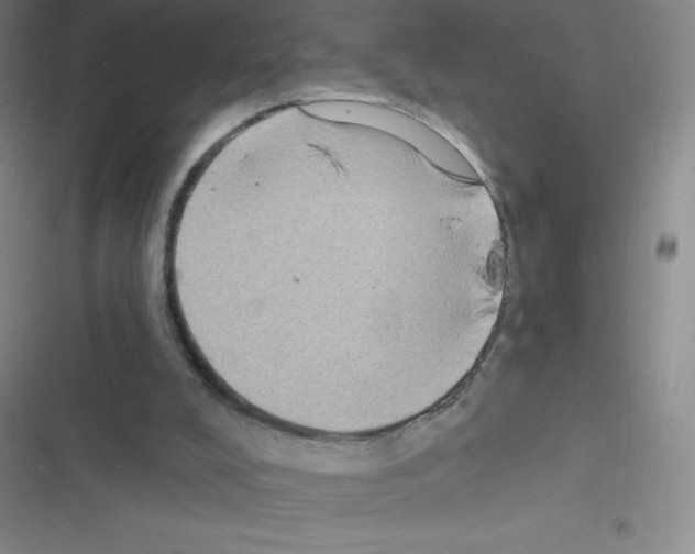 X0000116590008201001211336