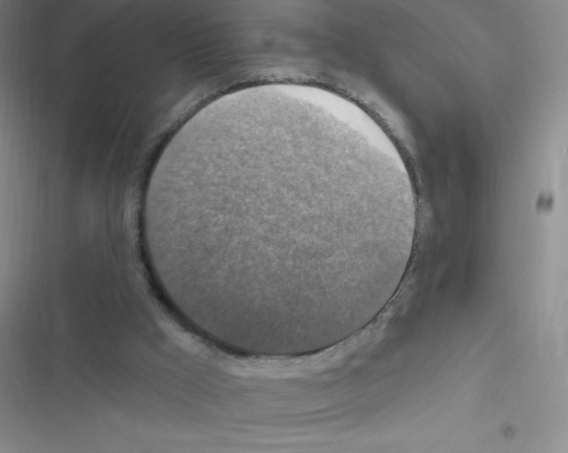 X0000116590009201001211335