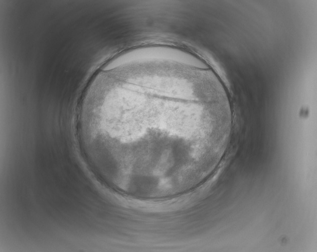 X0000116590010201001211335