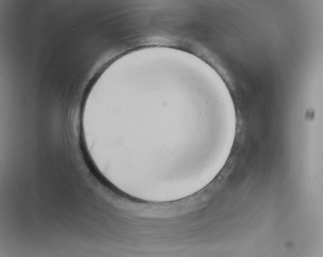 X0000116590011201001211335