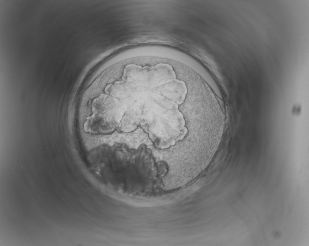 X0000116590012201001211335